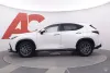 Lexus NX 450h+ AWD Executive - Teknologia-paketti Thumbnail 2